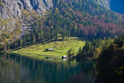 Scenic view of lake in forest