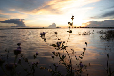 Scenic view of lake against sky during sunset