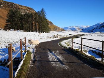 Scenic view of snowcapped mountains against clear sky