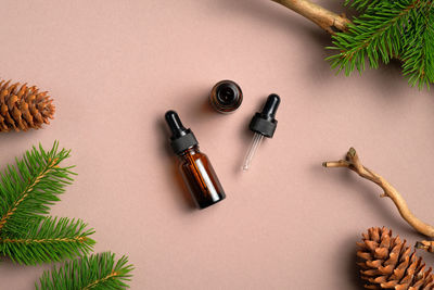 High angle view of pine cone on table