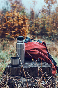 Close shot of thermos flask and backpack put by tree trunk while break during autumn trip