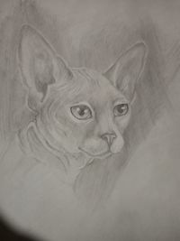 Close-up portrait of human face