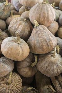 Close-up of squashes on table for sale at market