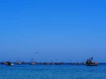 Sailboats in sea against clear blue sky