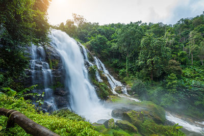 Scenic view of waterfall in forest