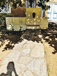 Shadow of tree on footpath by building