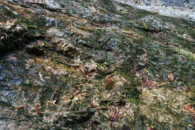 Full frame shot of rock formation