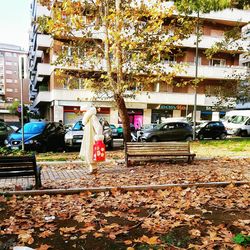 Trees in city against sky