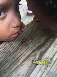 Close-up of children by dead insect on table