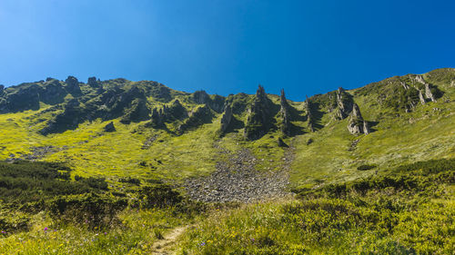 Scenic view of landscape against clear blue sky