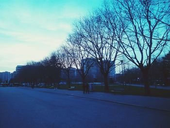 Bare trees against sky