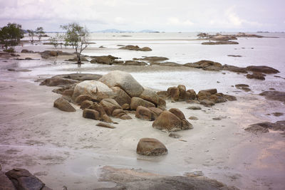 Rocks on beach against sky