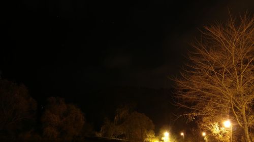 Low angle view of fireworks against sky at night