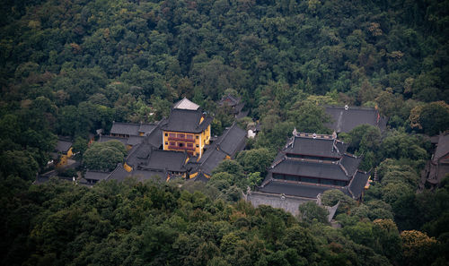 High angle view of townscape by trees in forest