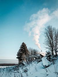 Trees on snow covered field against sky