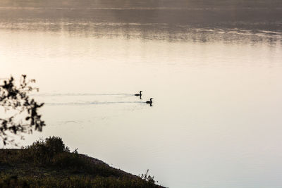 Silhouette man by lake against sky during sunset