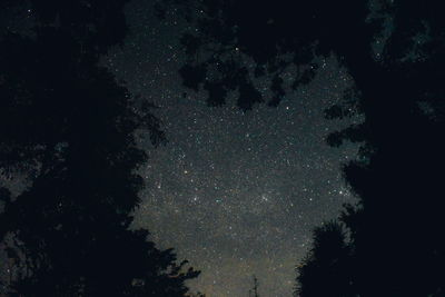 Silhouette trees against sky at night