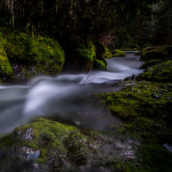 Stream flowing through rocks in forest