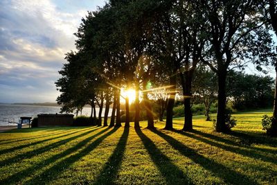 Scenic view of grassy field against sky at sunset