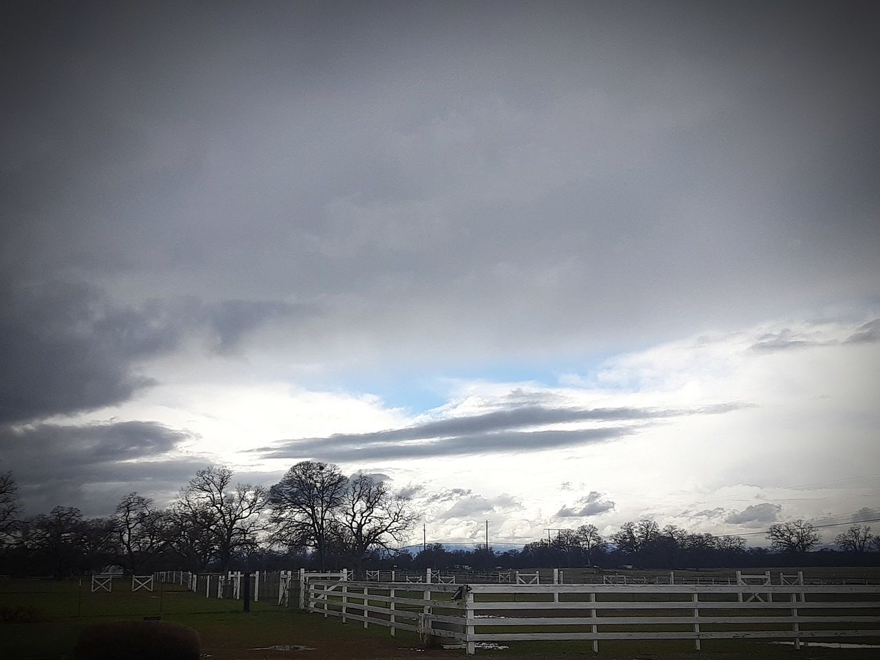 PANORAMIC SHOT OF TREES ON FIELD AGAINST SKY