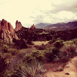 View of rock formations in desert