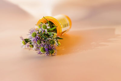 Flowers in the orange plastic bottle for prescribed medication. alternative medicine concept. 