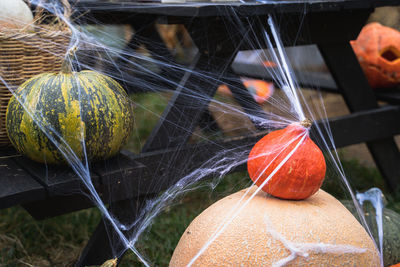 Close-up of pumpkins in autumn