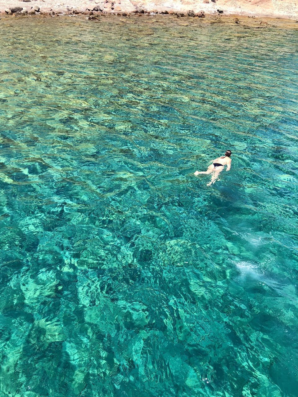 HIGH ANGLE VIEW OF SWIMMING IN SEA