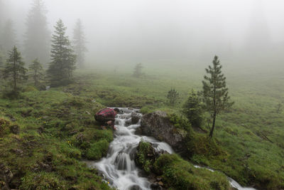 Man crouching by stream on grassy field during foggy weather