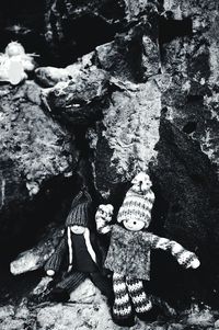 Close-up of boys on rock against trees