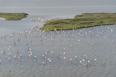 High angle view of beach