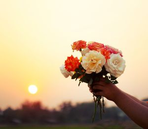 Close-up of hand holding rose bouquet against sky