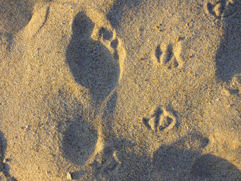 High angle view of footprints on sandy beach