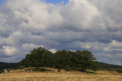 Trees on countryside landscape against cloudy sky