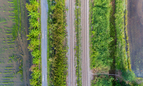 Full frame shot of agricultural field