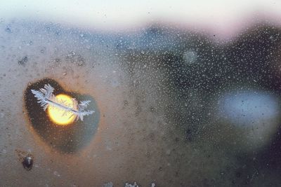 Close-up of water drops on ground