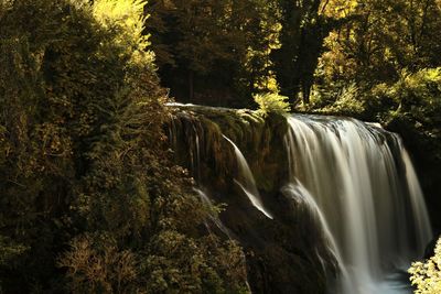 Scenic view of waterfall in forest