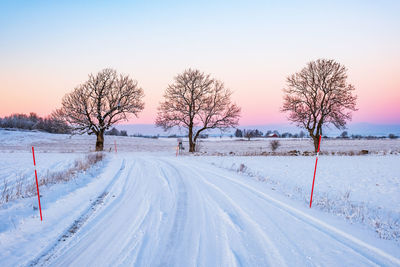 Bare trees on snow covered road against sky during sunset