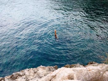 High angle view of blue sea