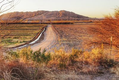 Scenic view of landscape against clear sky