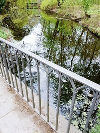 High angle view of trees by water