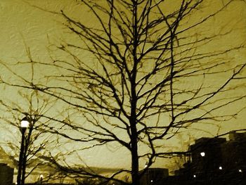 Bare trees against sky at sunset