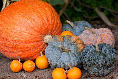 Close-up of pumpkins