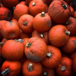 Full frame shot of pumpkins