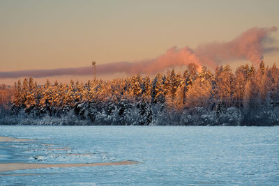 Plants by lake against sky during sunset