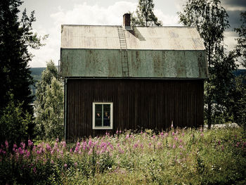 Plants growing on old abandoned building