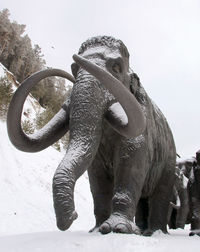 Low angle view of statue against clear sky