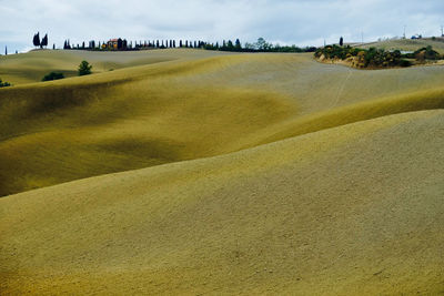 Scenic view of desert against sky