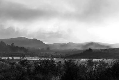 Scenic view of landscape against sky