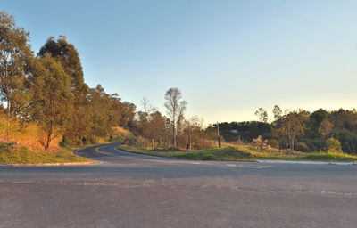Road by trees against clear sky